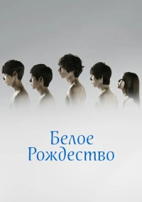 Белое Рождество (2011)